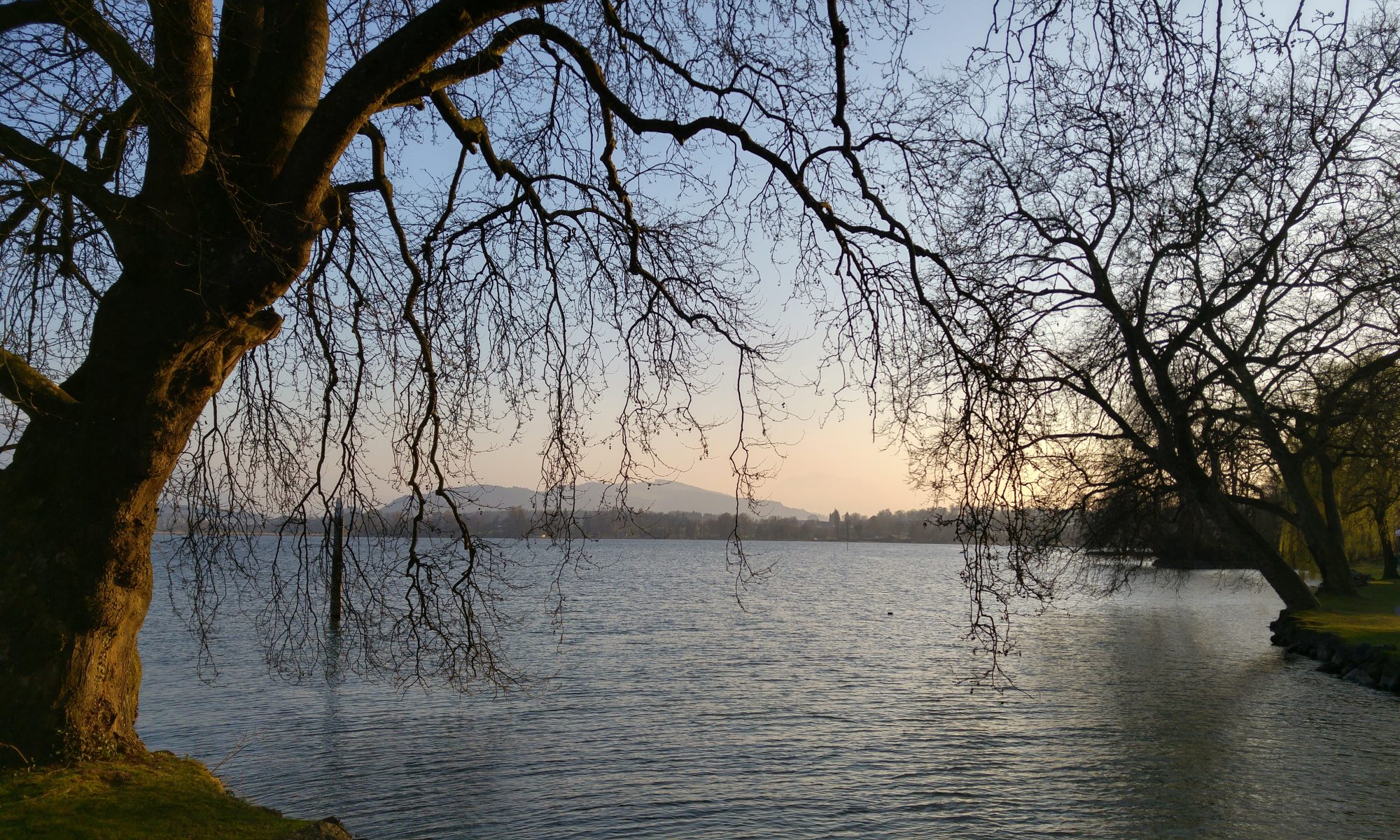 Frohe Botschaft